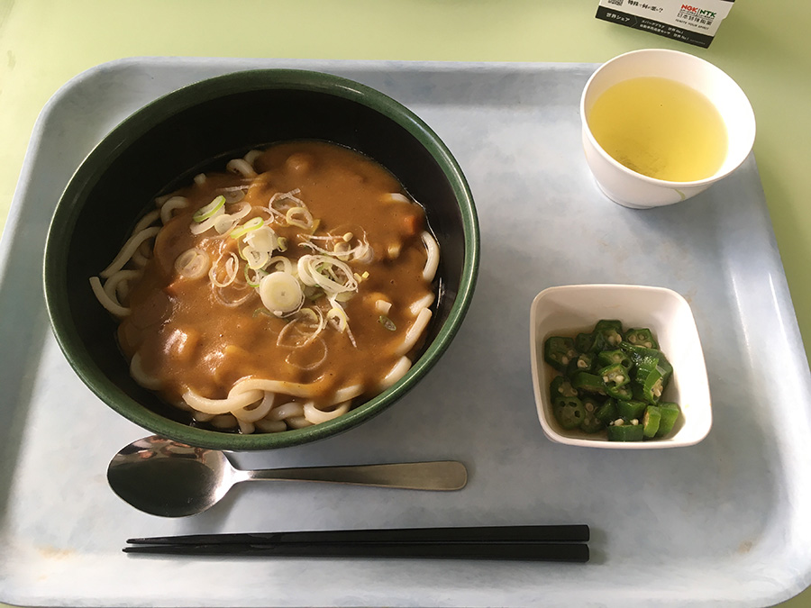 Curry udon