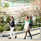 Academic year for Shibaura Institute of Technology